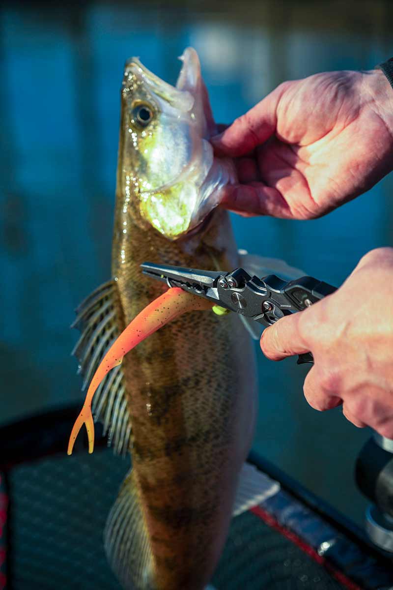 Pince et attelage Fox Rage