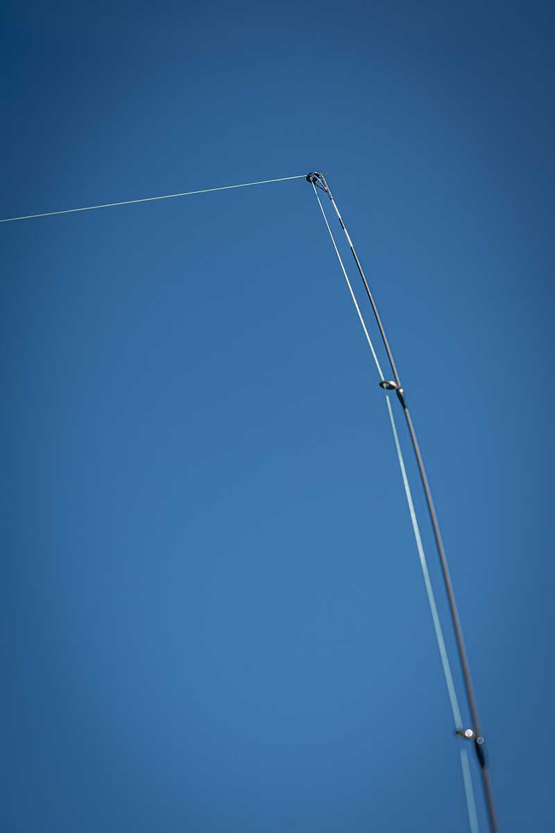 Canne Fox Rage Warrior Dropshot} 2,20 m