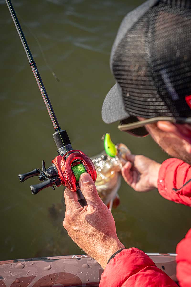 Canne Fox Rage Warrior Zander Cast} 2,10 m