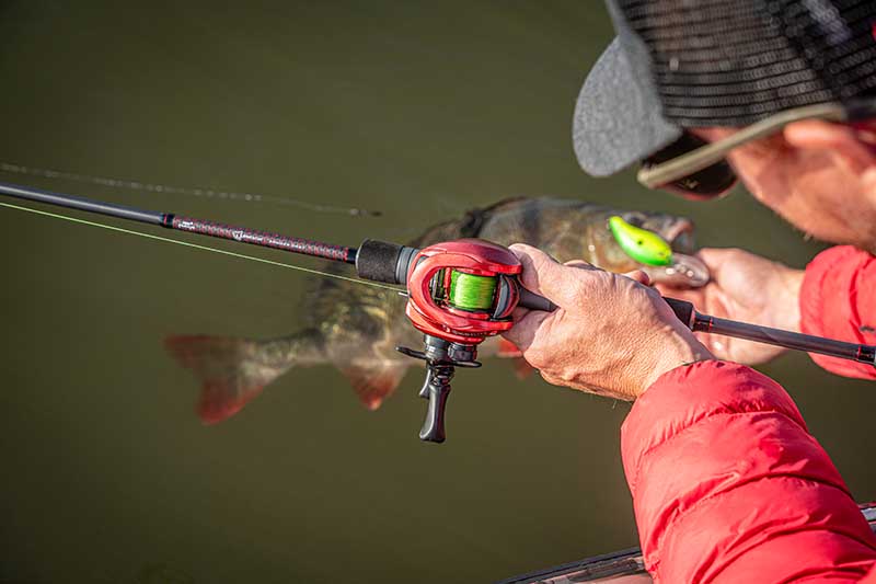 Canne Fox Rage Warrior Zander Cast} 2,10 m