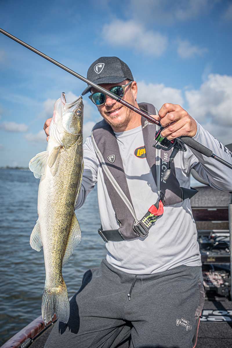 Canne Fox Rage Warrior Zander Jig} 2,40 m