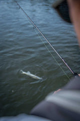 Canne Fox Rage Warrior Zander Jig} 2,40 m