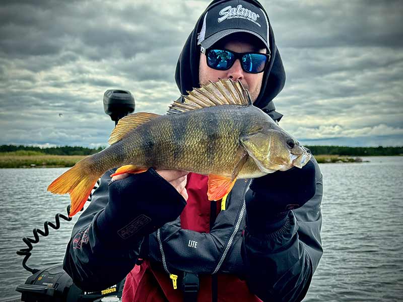 Gants en néoprène Mitaines Fox Rage S-L