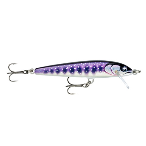 Jerkbait Rapala Floater Elite 85 GDIW