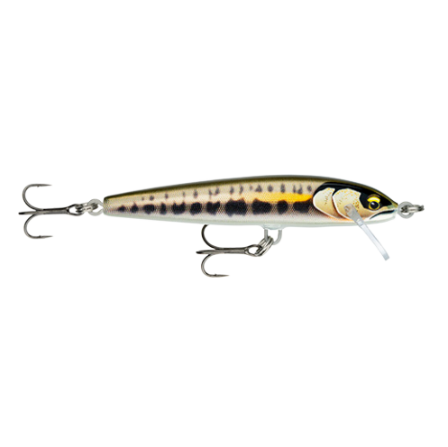 Jerkbait Rapala Floater Elite 85 GDMN