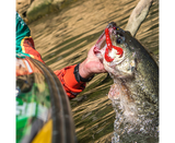 Leurre souple Strike King Craw 101 mm Delta Red