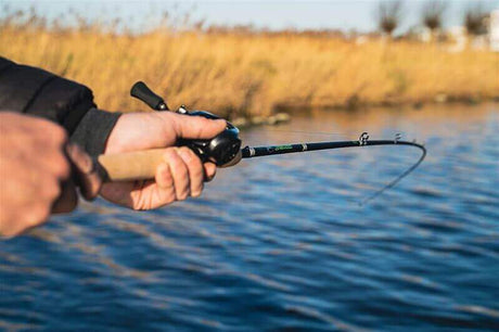 Caña Lew's Speed Stick M 2,01 m - Tienda Bass